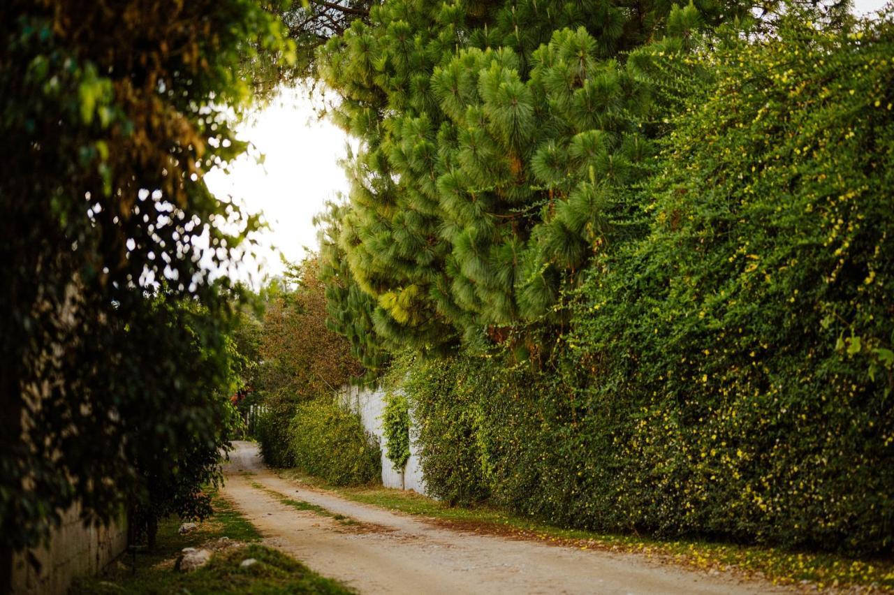 Villas Na San Cristóbal de Las Casas Εξωτερικό φωτογραφία